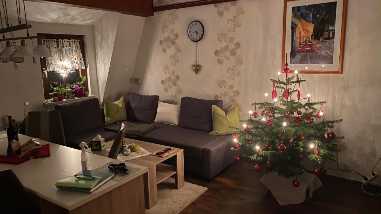 Froeschlein 2 - No Gitters & Craftsman Apartment Ilmenau